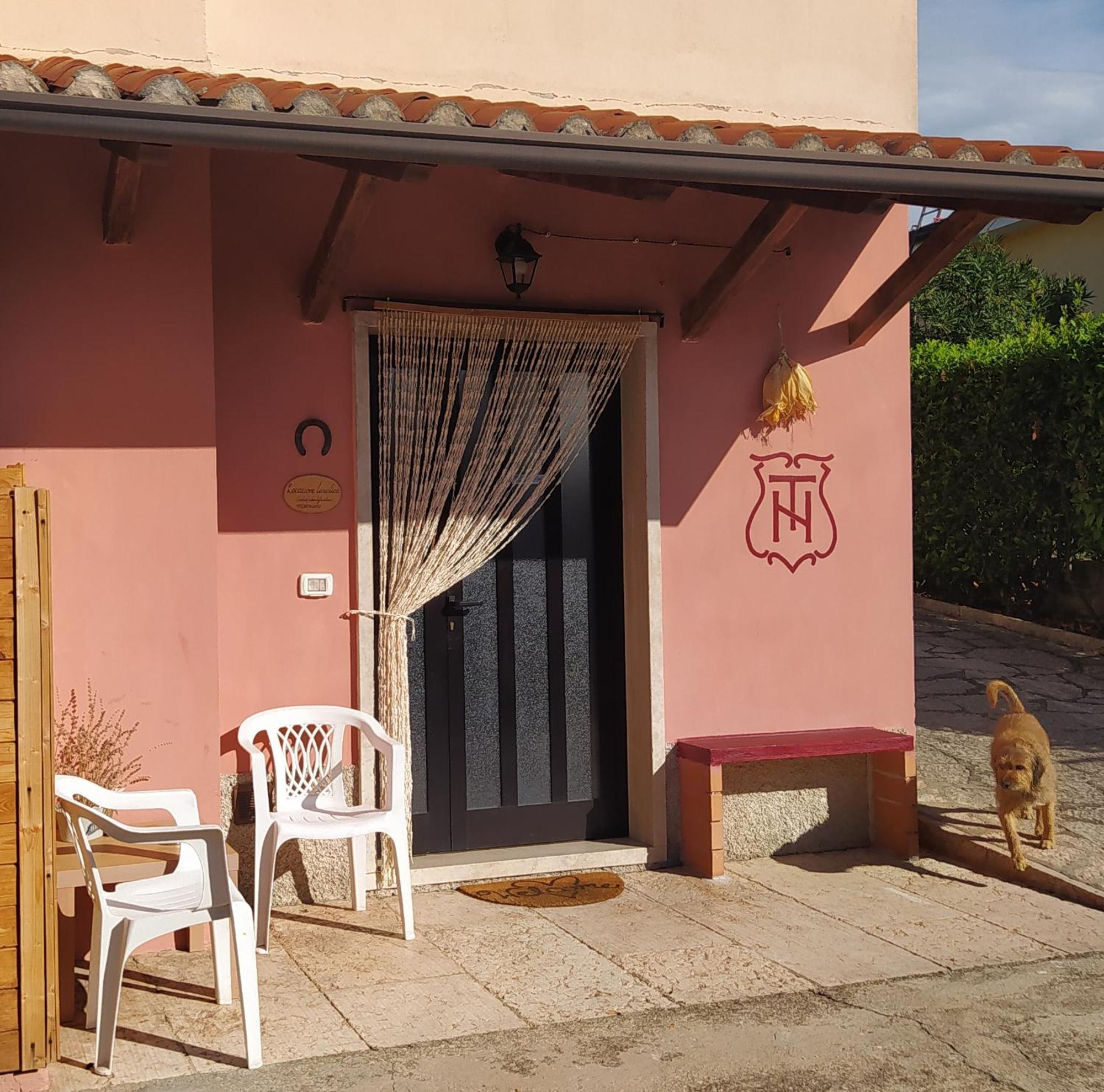 La Casa Di Nello Apartment Pedemonte Bagian luar foto